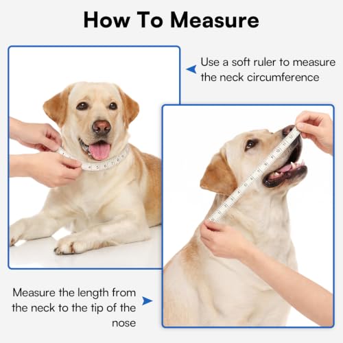Image of Queenmore Soft Dog Cone Collar, Reversible Cone for Dogs to Stop Licking