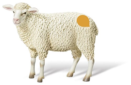 Preisvergleich Produktbild tiptoi® Schaf