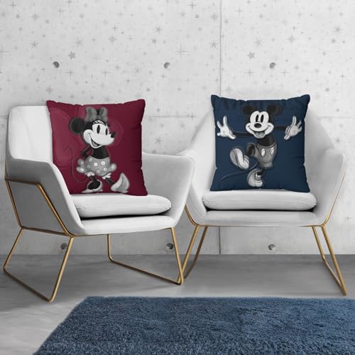 Encuentra reviews de Cojines Disney comprados en linea. 3 Imagen adicional