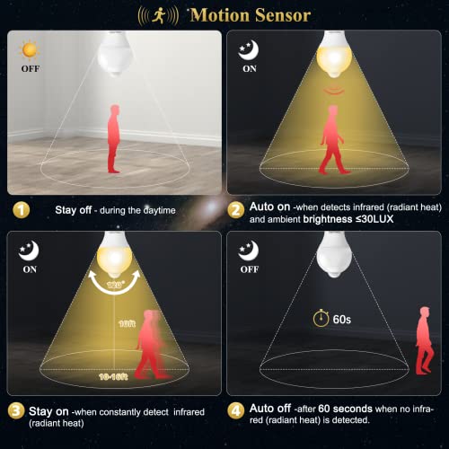 Herramientas Eléctricas, Outdoors Imagen adicional