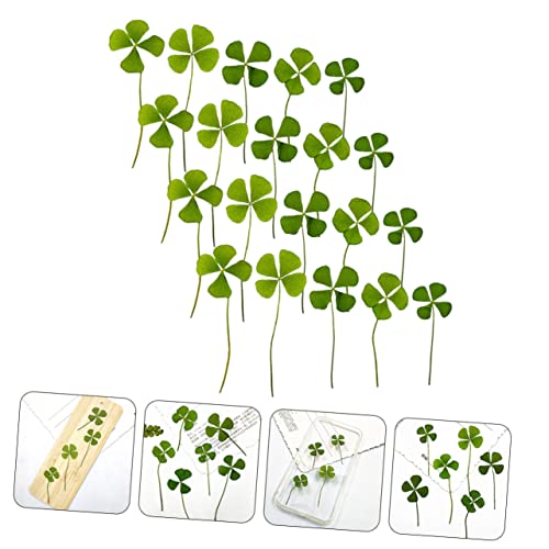 Ornamentos Secos de Cuatro Hojas para Manualidades 24pcs miniatura 5