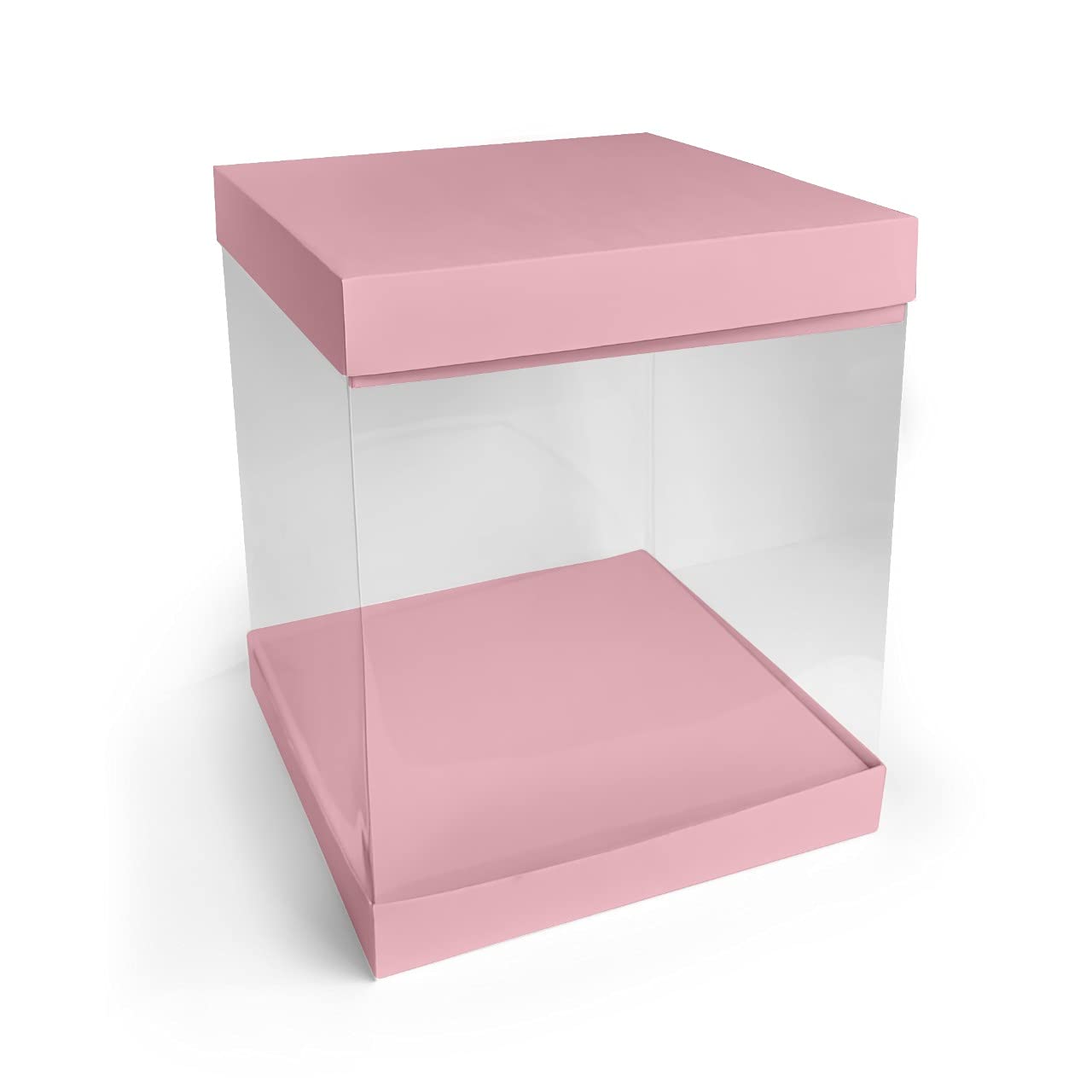 Intactmedia Pinata Cake, Tall Cake Box, Fully Transparent (Pack of 5) Color Pink