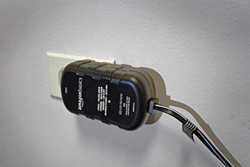 Amazon Basics 12 Volt 800mA Battery Charger with Auto Start and Reverse Protection, Black