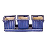 Accent Plus Blue Square Ceramic Small Planter (Set of 3)