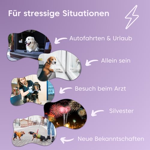 pfotenkumpels Seelenyoga | Beruhigungs-Snacks für Hunde I Mit Baldrian & Johanneskraut I Pflanzliches Beruhigungsmittel bei Angst, Stress & Silvester