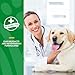 NaturVet – Digestive Enzymes - Plus Probiotics & Prebiotics – Helps Support Diet Change & A Healthy Digestive Tract – for Dogs & Cats – 1 lb Powder