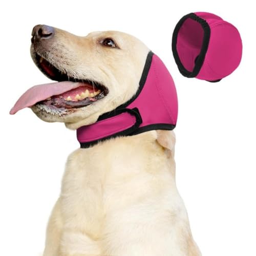 Nikkashop  C[}t Jo[ jLbv EȂ 킢 TCY߉\ pXq h~ sɘa _炩 􂦂  ybgی  ԉΑ΍ M AEghA RXv (sN, L)