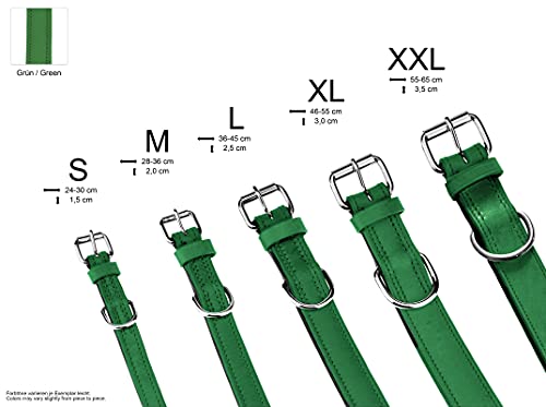 Schnüffelfreunde Halsband für Hunde aus Leder, Hundehalsband für den großen, mittleren und kleinen Hund, Lederhalsband gepolstert, robust (L - 36-45cm, Grün)