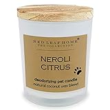 Red Leaf Home | Neroli Citrus Pet Deodorizing Jar Candle | Large | Gift, Perfect for Dog & Cat Owner