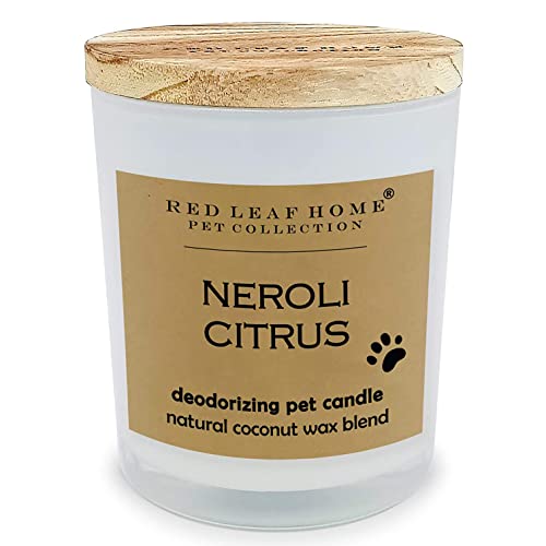 Red Leaf Home Neroli Citrus Candle - The Pet Collection, Large - 15 Ounce Jar Deal