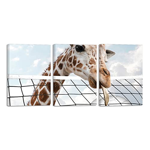Tableau moderne girafe sport 3 pièces prêt à accrocher pour salon