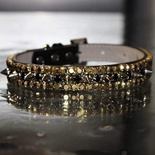 gold spiked dog collar