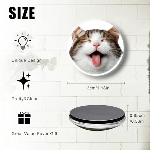 Imán de vidrio con diseño de gato para refrigerador miniatura 2