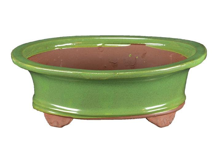 Verde Vaso per bonsai ovale in gres smaltato verde 21,5x18x6 cm - GA3