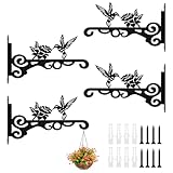 AYESY Staffa per Piante da Parete, 4 Parete Fiori Cesto Appeso Supporto in Ferro Battuto, Ganci Appendiabiti da Parete per Piante con 4 Viti e Tubo di Espansione per Vasi di Fiori Lanterne Mangiatoie