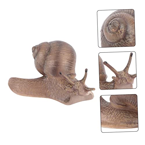 FRCOLOR 1 Unidade Caracol Micro Paisagem Brinquedos Infantis Caracol Paisagem Artesanato De Caracol