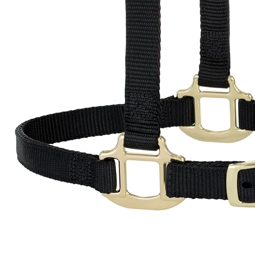 Weaver Equine Breakaway Horse Halter, Supple Leather Crown, Adjustable Chin & Throat Snap Halters for Horses, Equine Tack,Pony Size, Black by Weaver Equine - Image 7