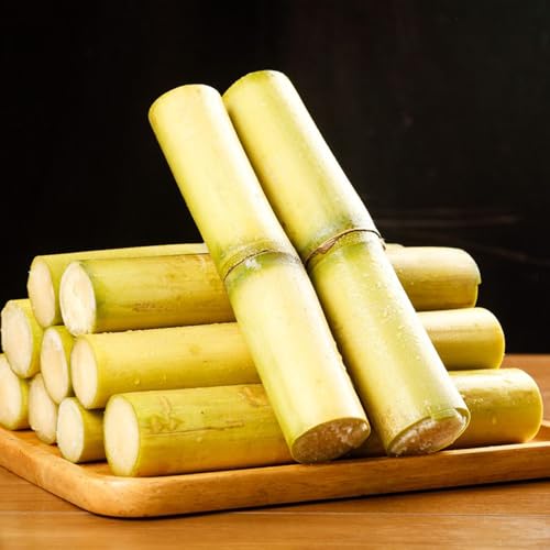 ZuckerrohrSamen, obstbäume Saccharum officinarum, Sugar Cane, geschenke für pflanzenliebhaber exotische obstsamen balkongarten gartenpflanzen 300pcs