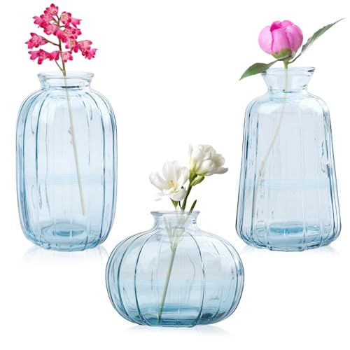 WIYETY Juego de 3 jarrones de cristal pequeños minimalistas decorativos: modernos jarrones de cristal, jarrones de cristal transparente para decoración de mesa, salón, dormitorio, boda, cumpleaños