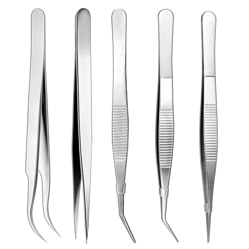 5 PzPinzette di Precisione, Pinzette in Acciaio Inox Multiuso, Pinzetta Sopracciglia Professionale, Pinza in Acciaio Inox, Pinzette Punta Rotonde e Curva per Artigianali Cucina Modello (5 Lunghezze)