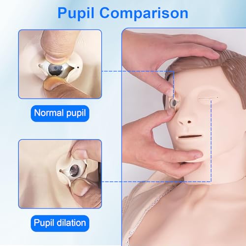 Reanimationspuppe Erwachsene Erste Hilfe Trainingspuppe CPR Übungspuppe Manikins Medizinische Puppe für Erste-Hilfe-Schulungen, Patientenaufklärung und Unterricht (Erwachsene)
