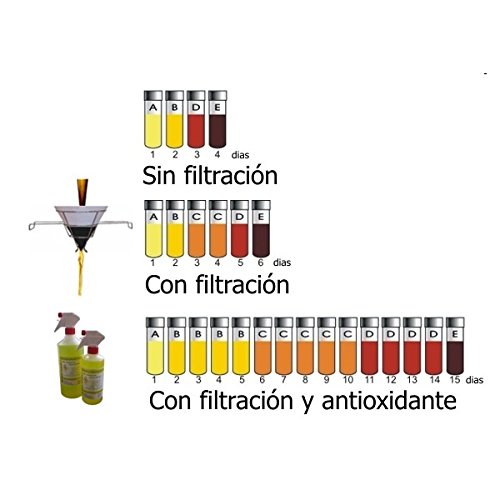 Royal Kit de filtración para aceites de freír – Soporte cónico con 50 filtros