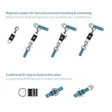 PetTec Anlein-Klick-System | Magnetverschluss für Hundeleine & Hundehalsband zum schnellen An- und Ableinen | Magnetleine Hund Anleinfix | Magnet Klicksystem fix rostfrei