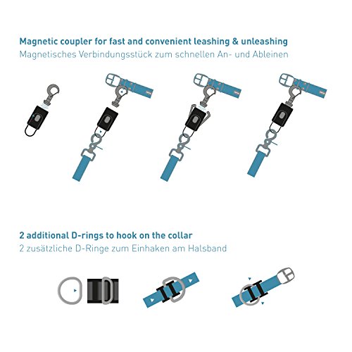 PetTec Anlein-Klick-System | Magnetverschluss für Hundeleine & Hundehalsband zum schnellen An- und Ableinen | Magnetleine Hund Anleinfix | Magnet Klicksystem fix rostfrei
