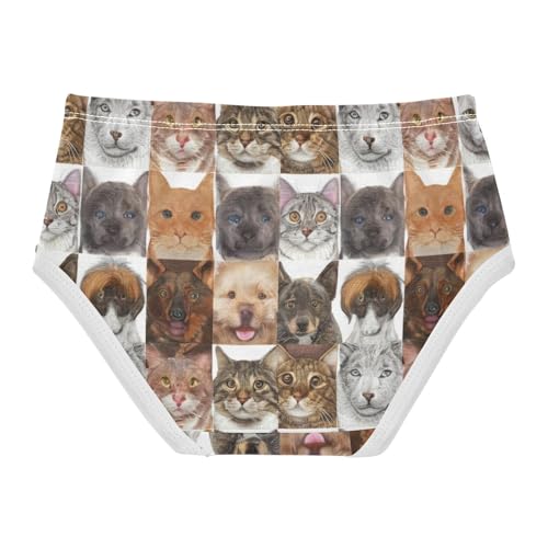 Toddler Girls Underwear 2t Cotton Girl Panties Cute Colorful Underpants Briefs Dog Cat Faces Breeds2