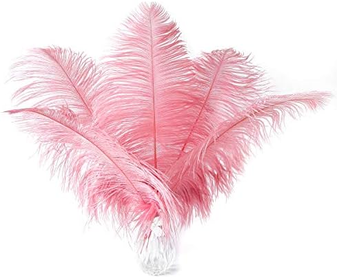 24pcs Natural Lotus Pink Ostrich Feathers 10-12inch (25-30cm) for Wedding Party Centerpieces，Flower Arrangement and Home Decoration.