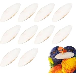 MS PET HOUSE Cuttlefish Bone for Birds, 100g, 3-5 inch, Treats for Parakeets, Lovebirds, Budgies, Conures, Parrots, Cockatiels, Canaries, Finches, Amazons, Cockatoos, Macaws for All Life Stages