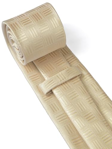 Image of HISDERN Plaid Ties for Men Classic Checkered Tie and Pocket Square Cufflinks Tie Clip Set Woven Men's Necktie Business