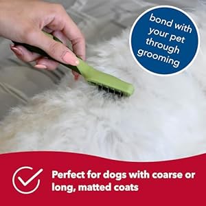 Coastal Pet Safari Dog Mat Remover – Dematting Comb for Dogs with Coarse or Long, Matted Coats – Dog Brush for Dogs with Medium or Long Hair – One Size