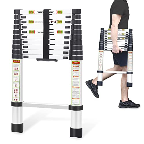 RIKADE (リケード) 伸縮はしご 折りたたみ式 伸長はしご 最大耐荷重330ポンド (3.25m/10.66フィート)