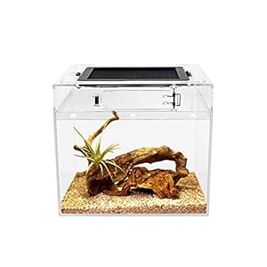 Reptile Growth RG-TERR Mini Terrarium 8x8x7
