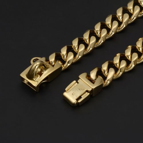 Collier en acier inoxydable or pour chien résistant et étanche