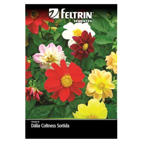 Kit 4 Sementes Flores Jardim Em Casa (Girassol, Dália, Margarida, Sávia)