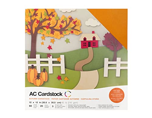 AMERICAN CRAFTS Cardstock Variety Pack Autumn Cartulinas, Papel, Multicolor, 30.73 x 30.48 x 2.0299999999999998 cm