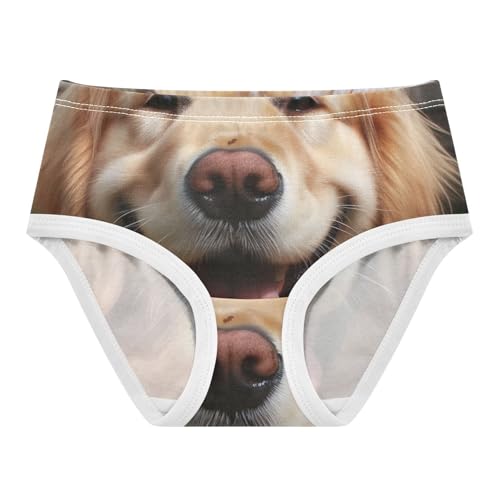Cute Dog Feather Toddler Underwear Custom 2t Cotton Little Girl Panties Animals Briefs Underpants