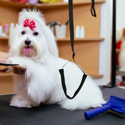 Sangles de toilettage pour chiens pour éviter les sauts de la table