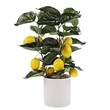 Citronnier artificiel en pot – matériau de qualité sélectionné pour la décoration, couleur vive et détails réalistes, très facile et pratique à nettoyer, décoration d'arbre artificiel