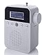 NEWTRO DAB STECKDOSENRADIO MIT BEWEGUNGSMELDER INKL. AKKU, portabler Radio, ideales Badradio mit automatischer EIN- und Abschaltung, Weckfunktion, USB-Ladebuchse, DAB+ Digitalradio