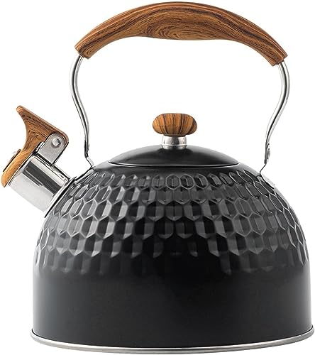 LUAMY JPbg L ₩ Pg 2.5L XeX ؖڃnh e IV ubN