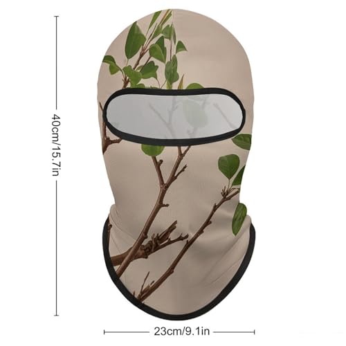 Balaclava para hombre y mujer, máscara para esquí, cubreboca completo para ciclismo y motociclismo miniatura 2