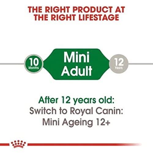 Image of Royal Canin Mini Adult Dog Food, 85 Grams, Supports Weight Management, Strong Bone and Joint Health, Provides Optimal Health Support, Pack of 24 Sachet
