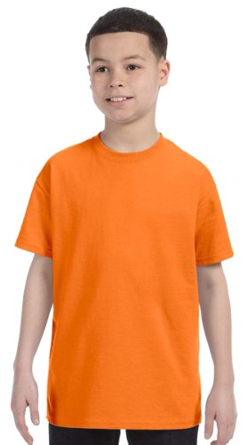 Image of Gildan - Youth Heavy Cotton 100% Cotton T-Shirt. 5000B - [Sky]