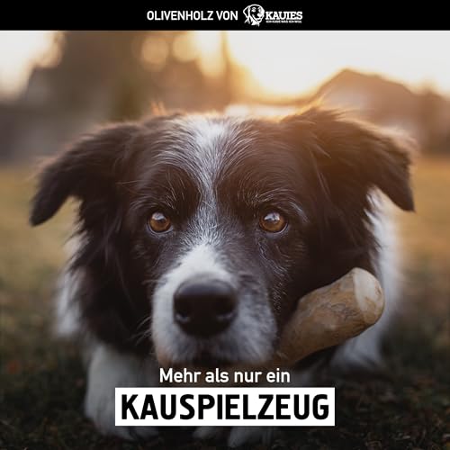 Kauies Olivenholz Kaustab für Hund mit Olivenöl - 100% natürlich, vegan & kalorienfrei - langelebiges Hunde-Spielzeug aus schadstoffgeprüftem Holz, Made in Germany, Größe M bis 20 kg (2er Pack)