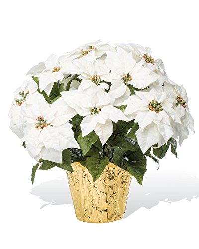 Petals - Large Premier Silk Holiday Poinsettia - Handcrafted - Amazingly Lifelike - 23 x 22 Inches (White)