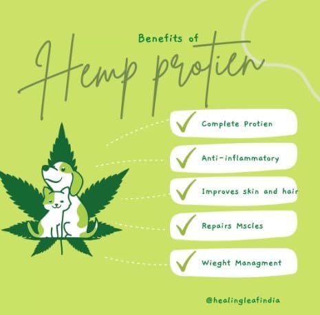 Healing Leaf Combo Hemp Seed Dog Protein Powder Supplement Coat, 100g,Magic Potion Pure Hemp Seed Oil | Organically Grown Benefits Nourish Dog’s Skin and Coat 90 ml 3