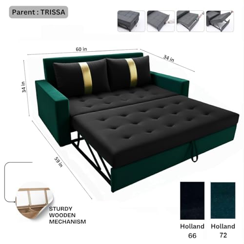 Image of FURNY Tressa 2 Seater Fabric Pull-Out Sofa Cum Bed (Black-Greenish Teal) Premium Velvet Finish | Durable Comfort | Ideal for Living Room